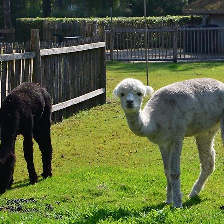 6 Persoons Bungalow Met Omheining Van De Tuin Vlakbij Walibi Villa Biddinghuizen Kültér fotó